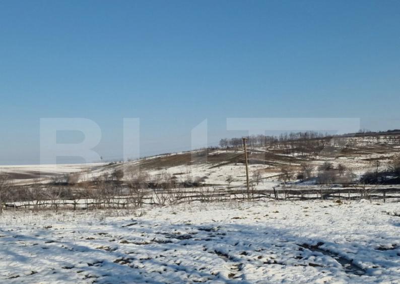 Teren intravilan 7.9 ha. Sandra - 4