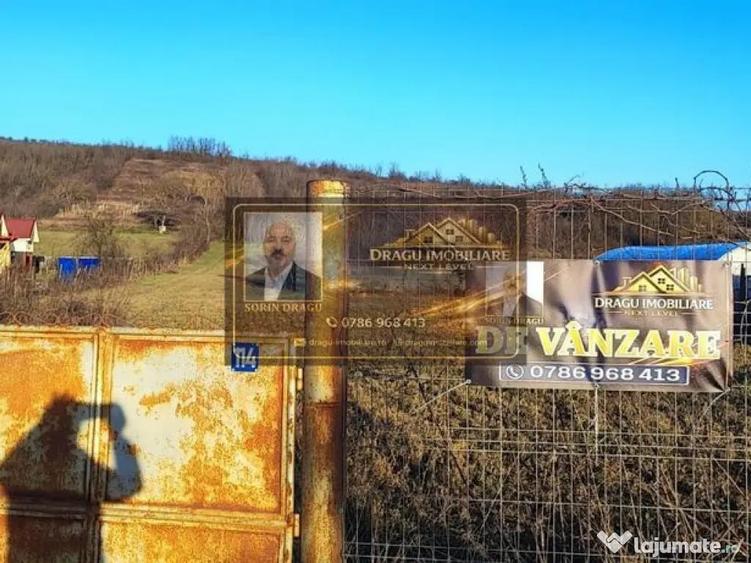 Teren intravilan 3129 mp | Deschidere 28 ml / Lespezi ... - 6