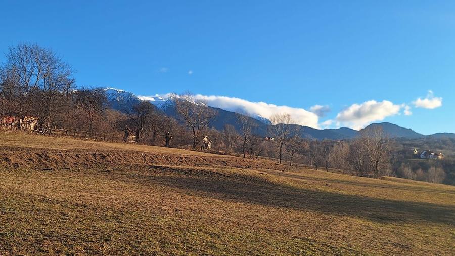 Teren de vanzare - 8