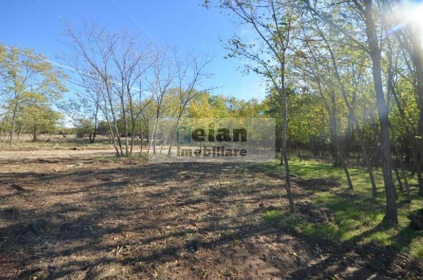 Snagov Ciofliceni Mânastire- Teren 1432 Mp, D 60 M, Curent Gaze Asfalt - 5