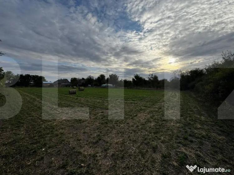 Casa 4 camere cu teren de 3892 mp - 1