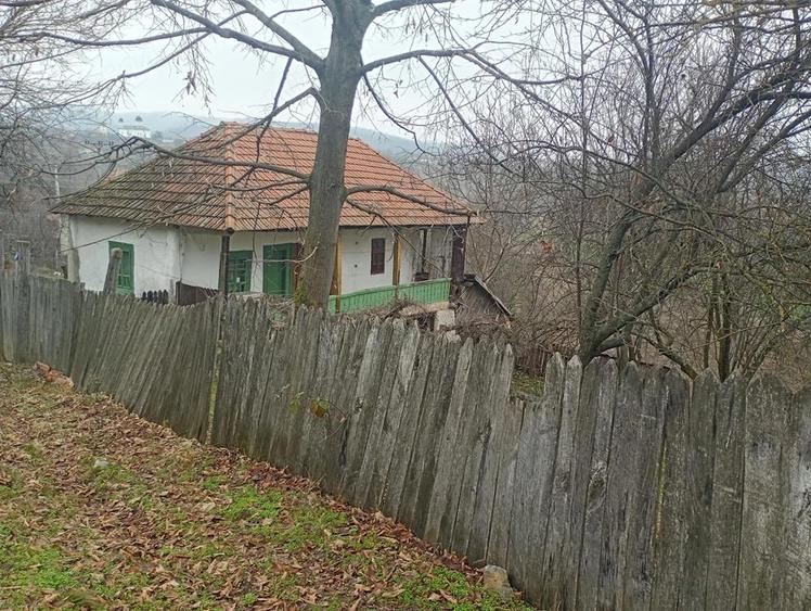 Casa la tara ,in stare buna - 4
