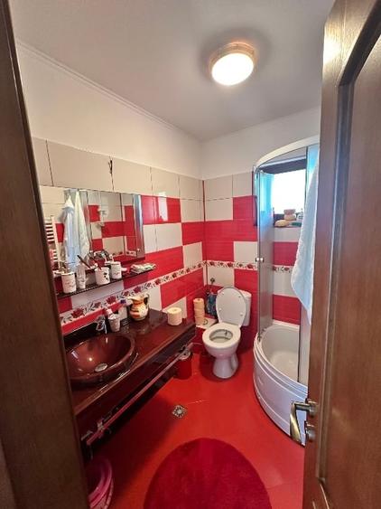 Vanzare vila superbă, P+1+Pod, Albota - 16