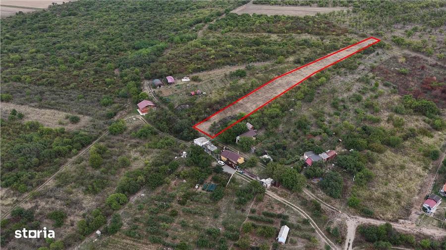 RECO Teren Episcopia - 6