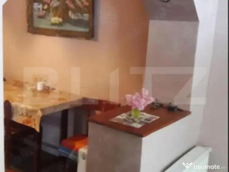 Doua case intr-o curte de 952 mp, Paleu-liniste, spatiu, po - 6