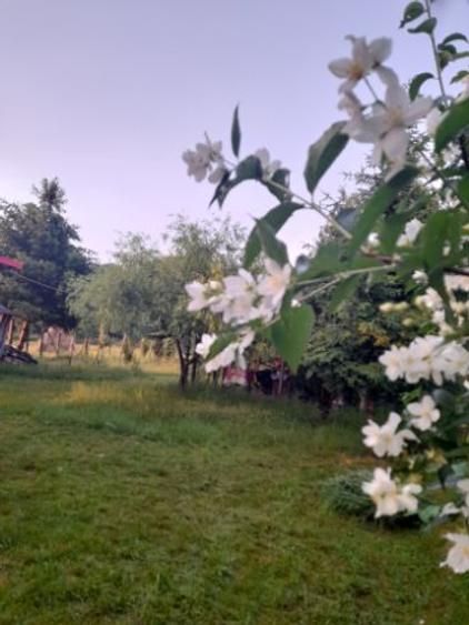 Oferta vânzări imobilec - 2