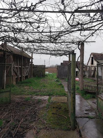 Casa de vanzare cu teren generos in Belfir - 3