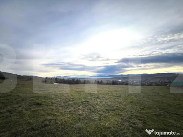 Teren de 8000 mp, în Ciurila