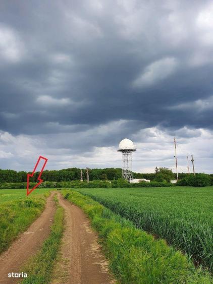 Vand teren construibil 1000 mp langa padure Buftea - 2
