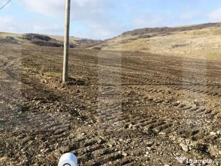 Teren intravilan 12.656 mp cu deschidere mare la drum op - 5