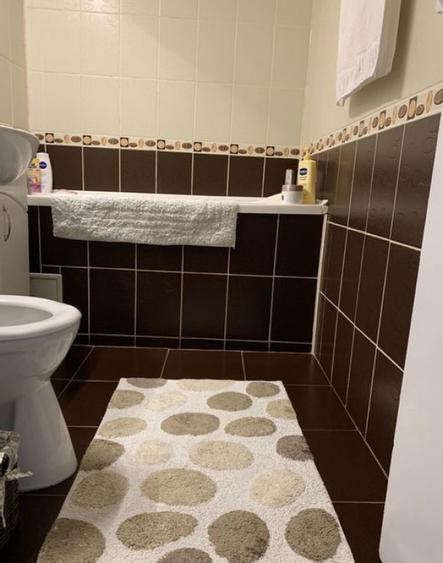 Spre inchiriere apartament cu 2 camere Bucur Obor - 2