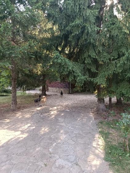 de vanzare proprietate (fosta pensiune) pe malul raului Teleajen - 1