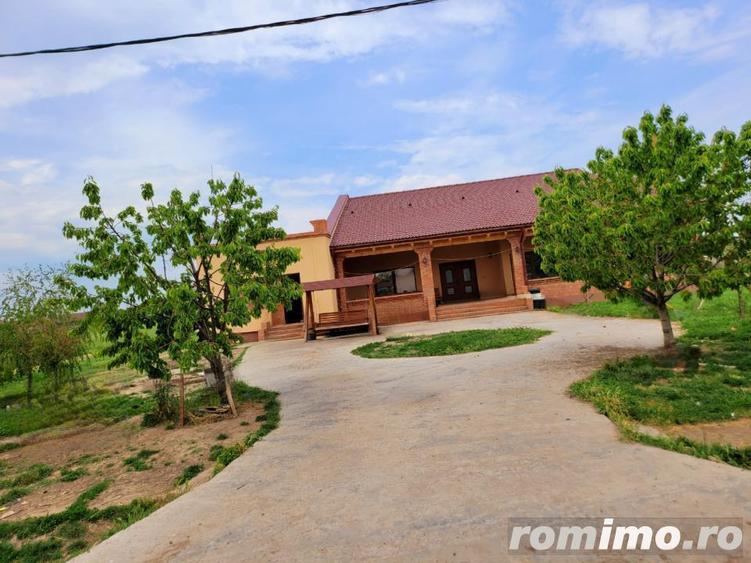 Domeniu, 9,5 ha, 25 KM de Timisoara - 2