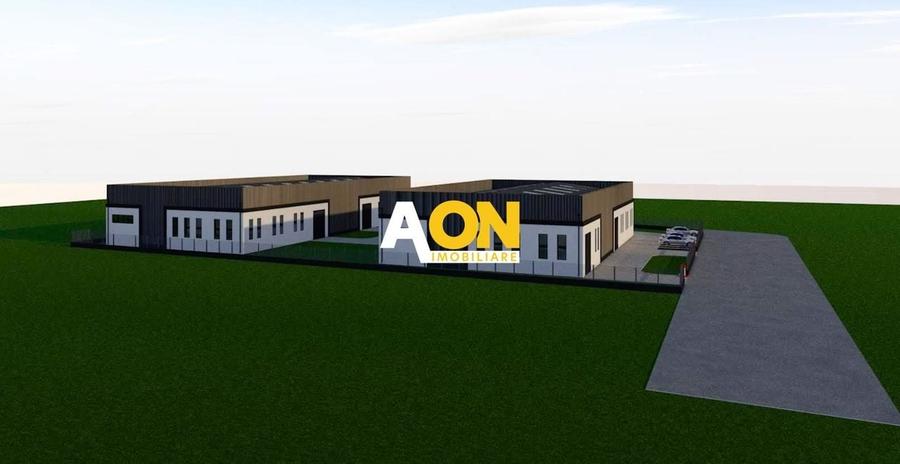 Hala industriala, 1300 mp construiti, 3000 mp teren, toate utilitatile - 8