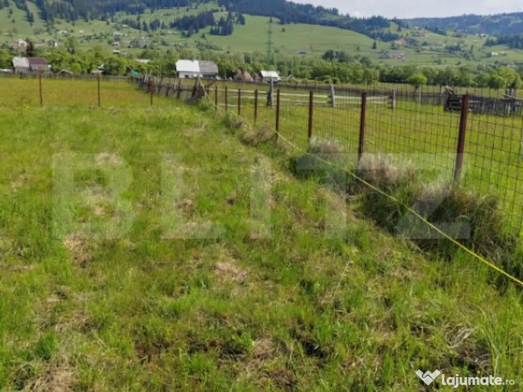 Oferta de vanzare teren, URGENT, Dorna Candrenilor - 2