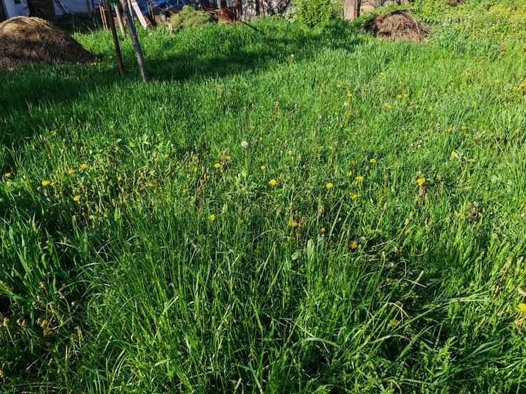 Teren rezidential intre case zona Mihai Eminescu - 3