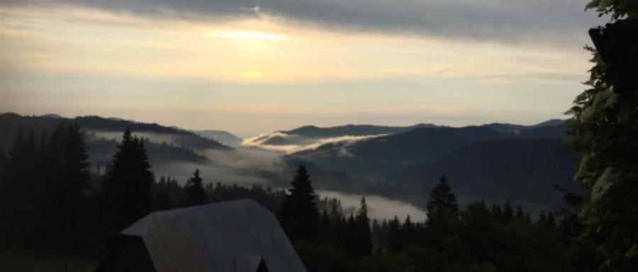 Casa/gospodarie + teren 5.7 ha intravilan Brodina, jud. Suceava - 1