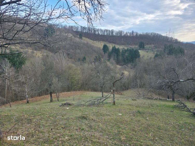 Casa de vanzare la deal - 7