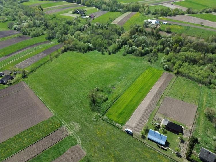 Teren intravilan Horodnic de Jos, 28.000 mp + izvor, ideal pensiune, casa, iaz, 7 km de Radau?i - 1