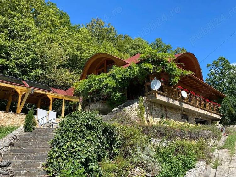 Locuin?a de vis cu poten?ial agroturistic, sat Carbunari - 5