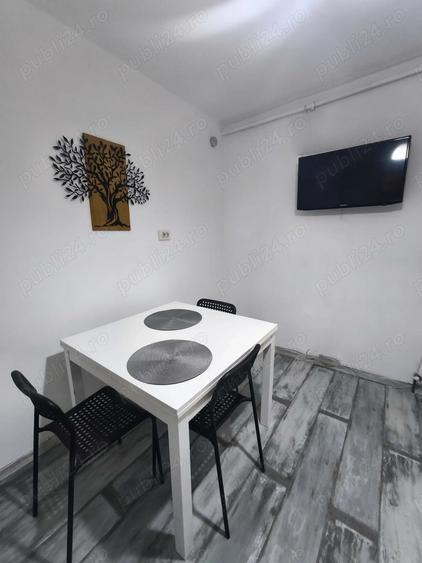 De inchiriat Apartament 4 camere, 2 bai, 2 balcoane pe malul Timisului - 5