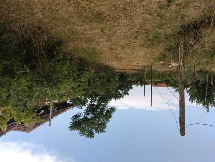 Casa de vanzare in Domanesti - 4