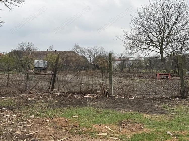 Teren Intravilan Becicherecu Mic 598mp,Utilitatile In Fata Parcelei,Asflat - 1