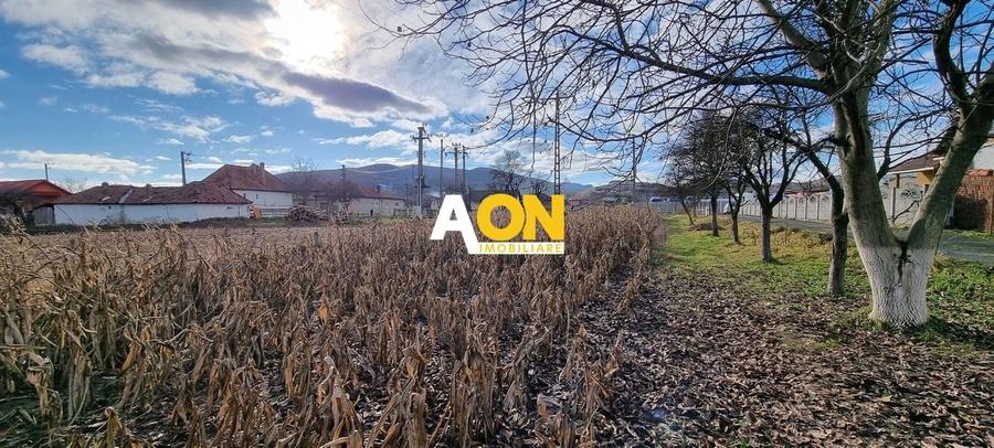 De vanzare 1929mp teren intravilan cu utilitati, Sard - 3