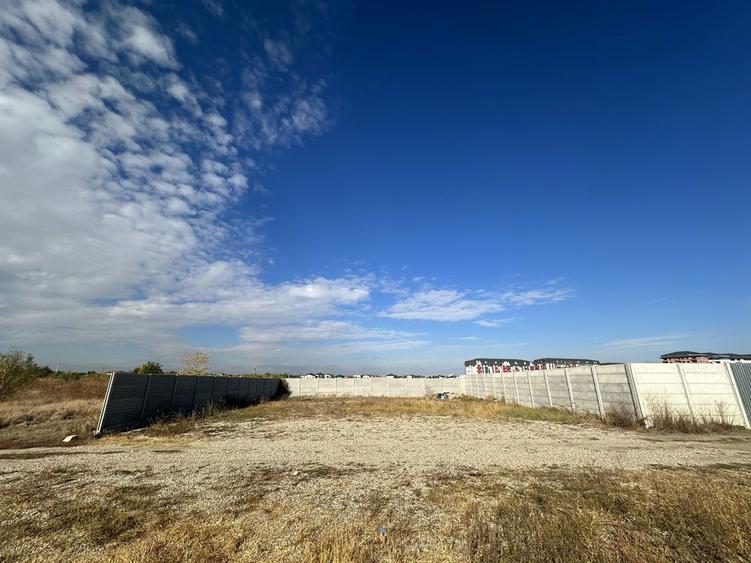 Teren Chiajna cu autorizatie de constructie - 3