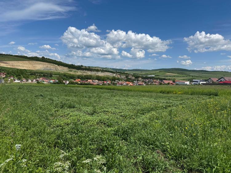 De vanzare teren intravilan Sura Mare - 2