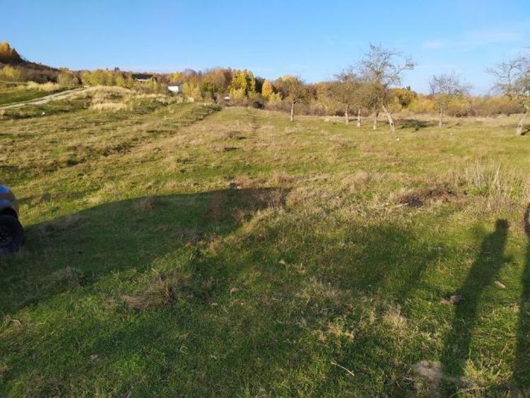 Teren intravilan DE VÂNZARE, NEGOCIABIL , Campina (jud Prahova), cartier Voila  - 8