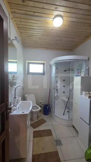 Casa de vacanca cu potential turistic, 1603 mp teren, Cernatesti - 9