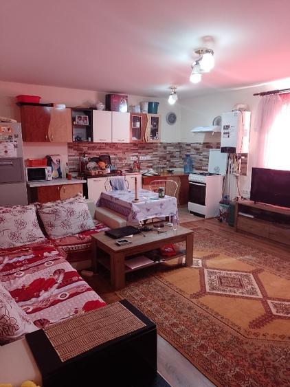 Casa de vânzare în comuna Romanu - 8
