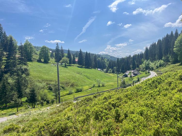 Teren intravilan Arieseni - 1250 mp - langa drum asfaltat - 6