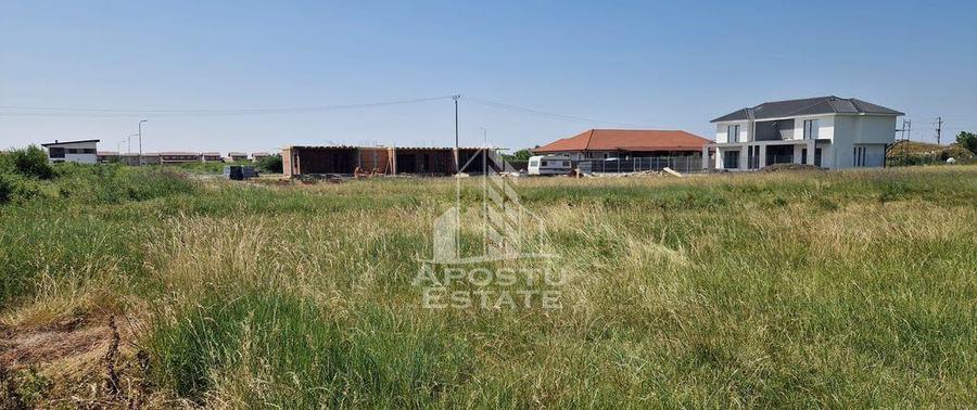 Parcela 707 mp in Sacalaz langa cartierul Primaverii - 2