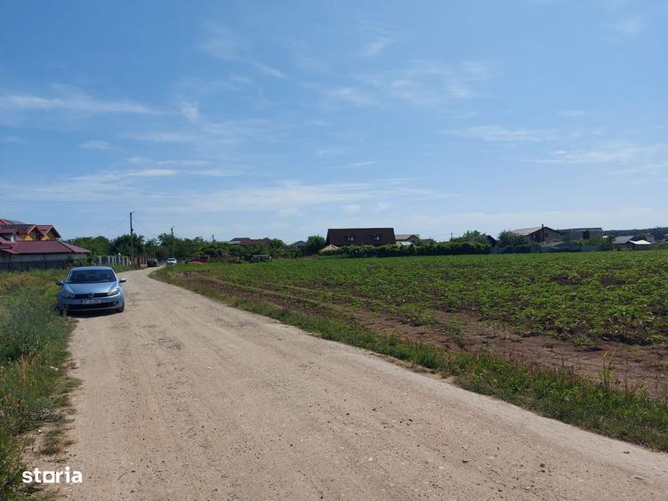 8.500 mp cu deschidere la padure, dubla deschidere Snagov Ghermanesti - 5