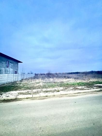 Teren Intravilan Zurbaua Dragomiresti 500mp - 5