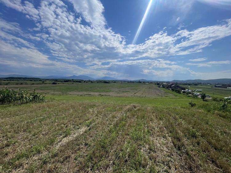 Teren intravilan - 1