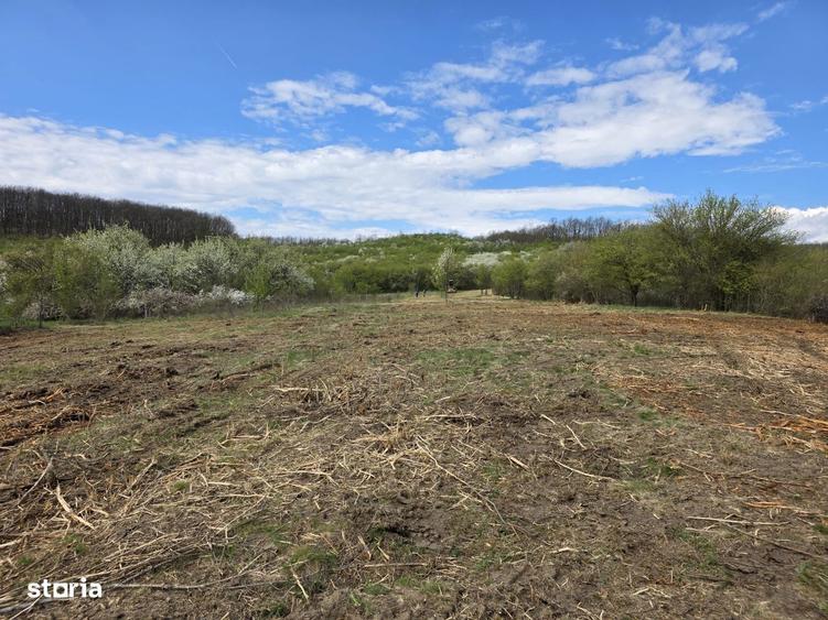 De vanzare teren intravilan Barsau, jud. Hunedoara - 14