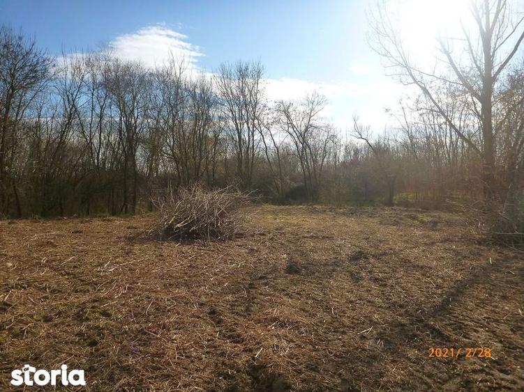 Vand teren in Nagygec (Csengersima) 10 km de Satu Mare - 4