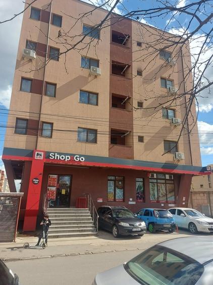 Berceni, Dimitrie Leonida Metrou - 6