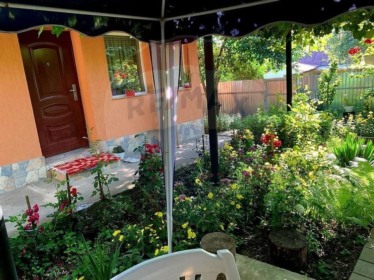 Casuta de la tara - 10