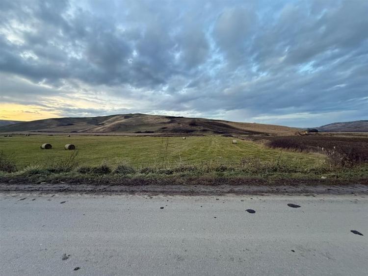 Teren Extravilan I 6000 Mp I Acces la drum | Cojocna - 6