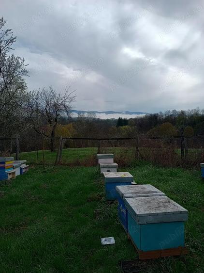 Casa la sat- cu teren de 3000 m - 4