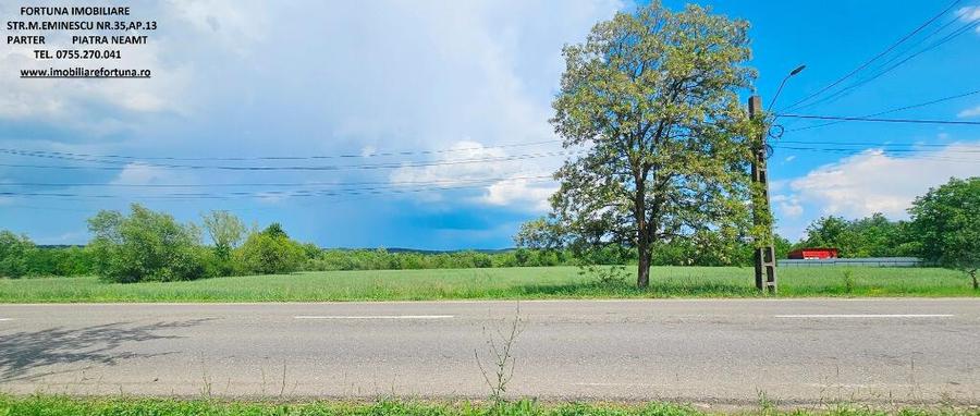 Proprietate com.Bodesti, casa + anexe + teren 7481 mp - 10