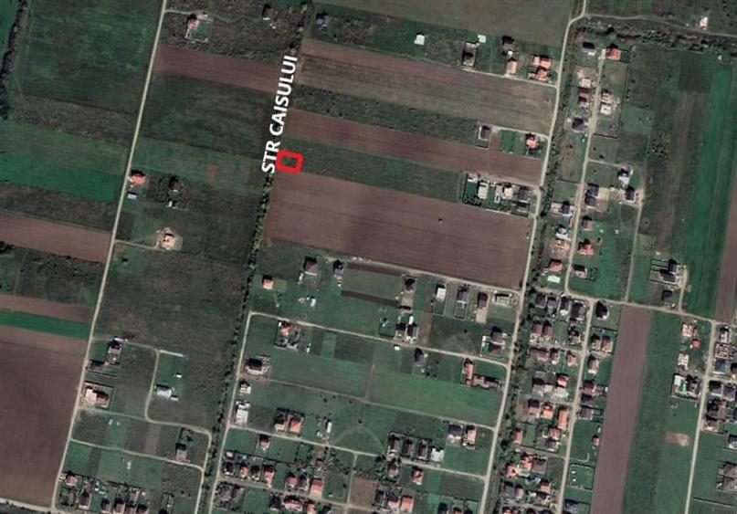 Teren de CASA de vanzare Mosnita Veche Bistra - 1