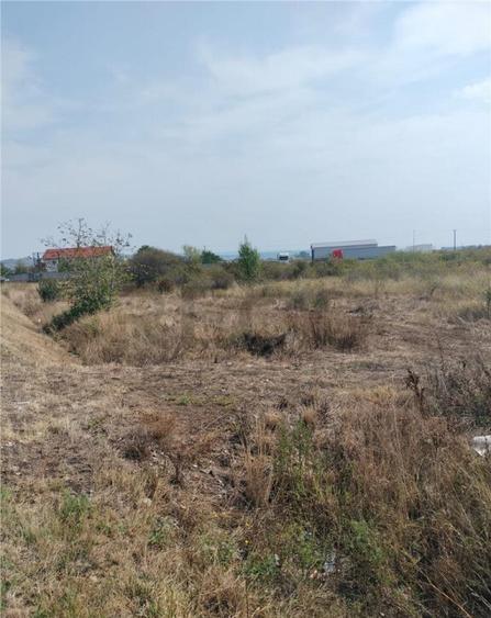 RECO teren intravilan tileagd - 5