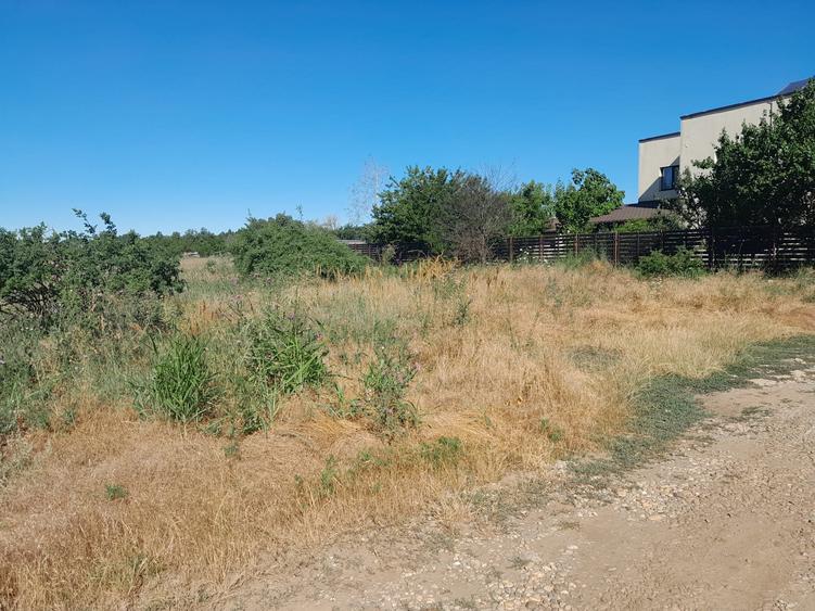 TEREN  INTRVILAN DRAGOMIRESTI - 5