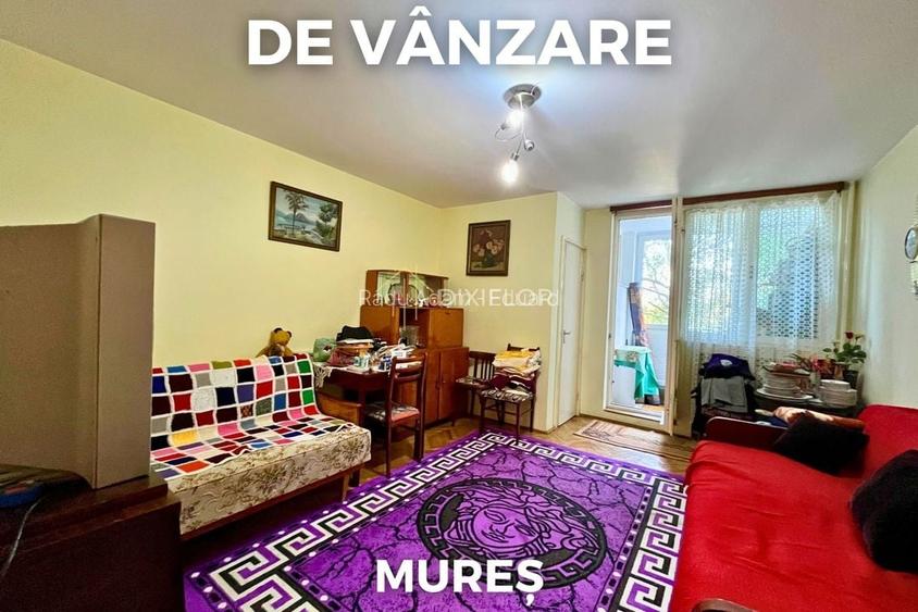 Garsonieră | Aleea Carpați | 66.000 EUR