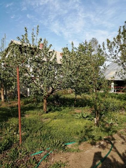 Casa 3 camere 100 mp | teren 937 mp | Vladeni central | mansarda |mobilat utilat - 12